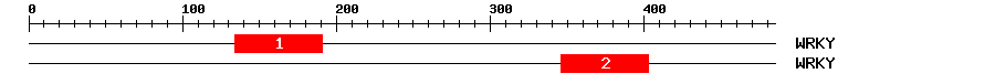 Signature Domain