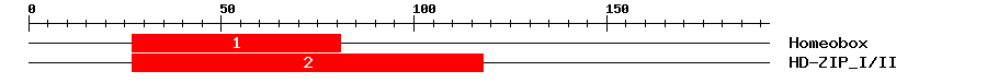 Signature Domain