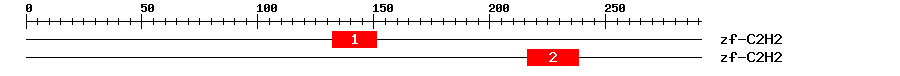 Signature Domain