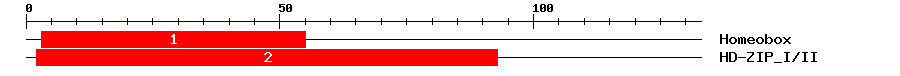 Signature Domain