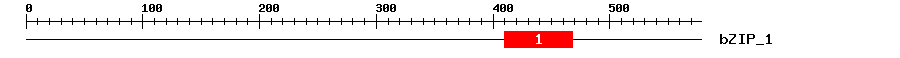 Signature Domain