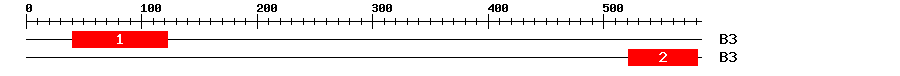 Signature Domain