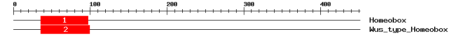 Signature Domain