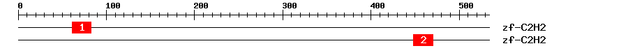 Signature Domain