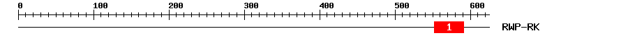 Signature Domain