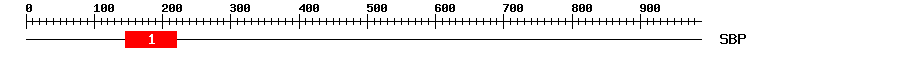 Signature Domain