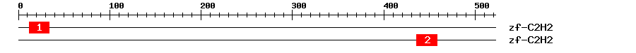 Signature Domain