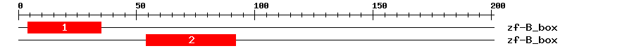Signature Domain