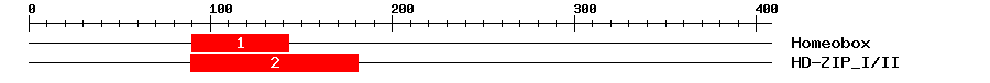 Signature Domain