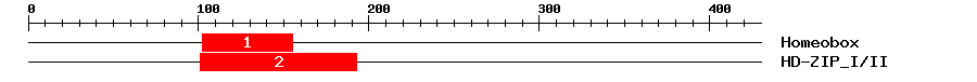 Signature Domain