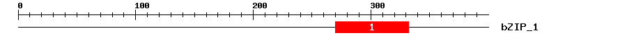 Signature Domain