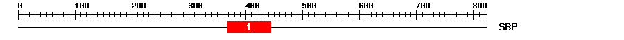 Signature Domain