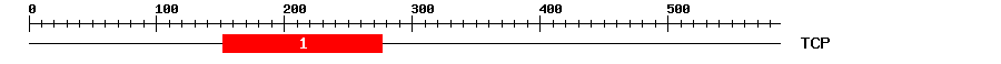 Signature Domain
