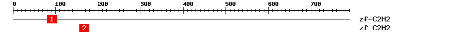Signature Domain