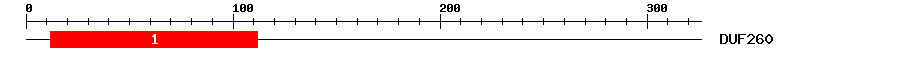 Signature Domain