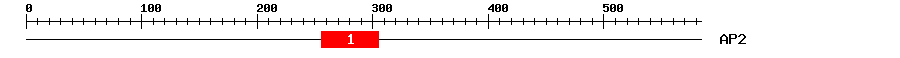 Signature Domain