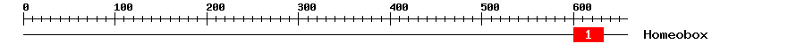 Signature Domain