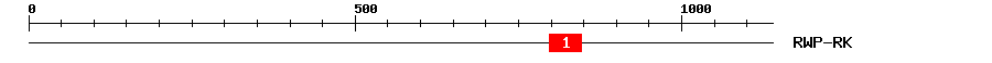 Signature Domain