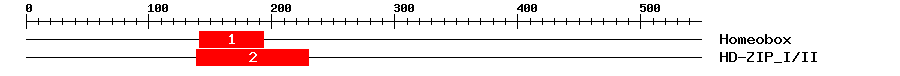Signature Domain