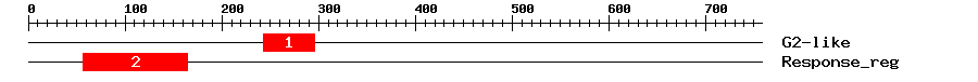 Signature Domain