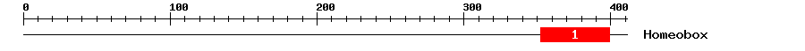Signature Domain