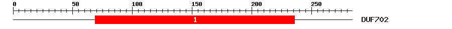 Signature Domain
