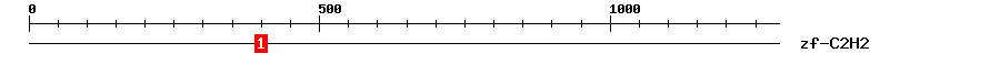 Signature Domain