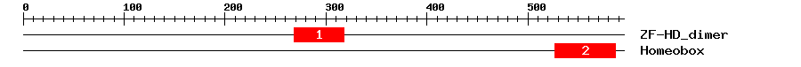 Signature Domain