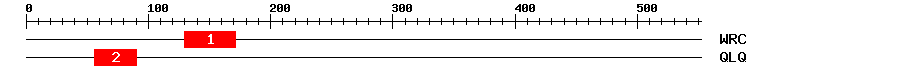 Signature Domain