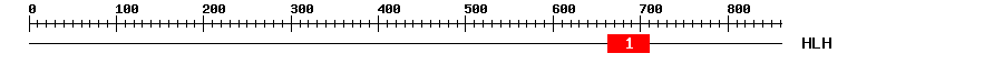 Signature Domain