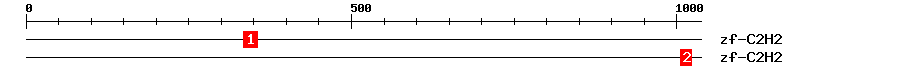 Signature Domain