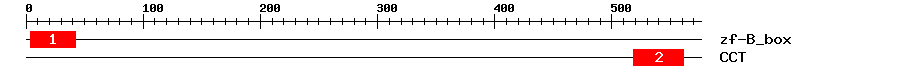 Signature Domain