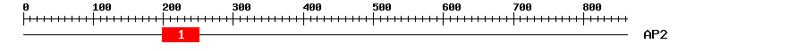 Signature Domain