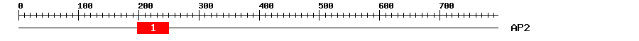 Signature Domain