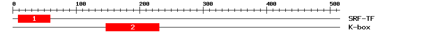 Signature Domain