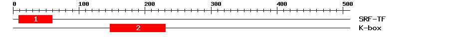 Signature Domain