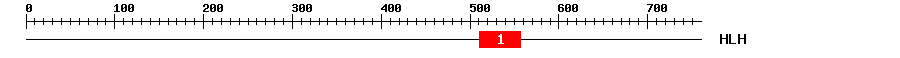 Signature Domain