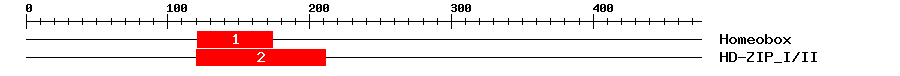 Signature Domain