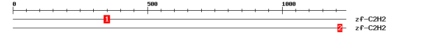 Signature Domain