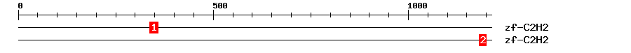 Signature Domain