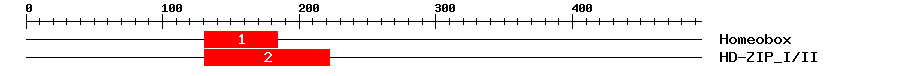 Signature Domain