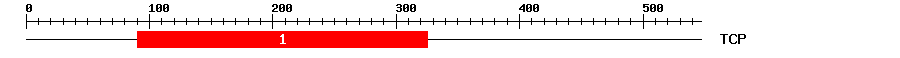 Signature Domain