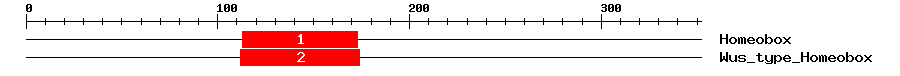 Signature Domain