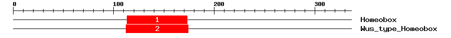 Signature Domain
