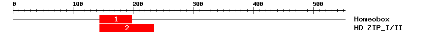Signature Domain