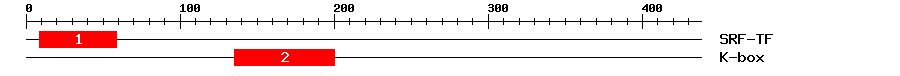 Signature Domain