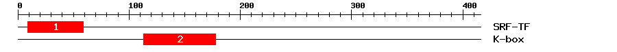 Signature Domain
