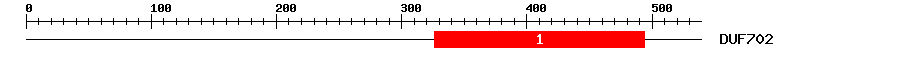 Signature Domain