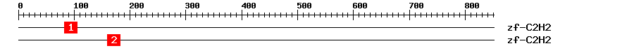 Signature Domain