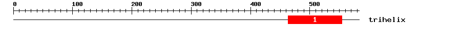 Signature Domain